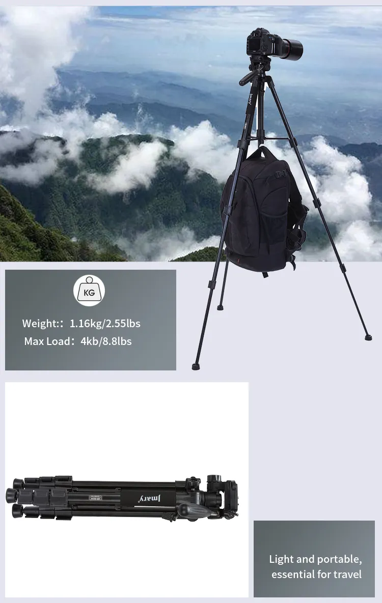 download 2025 01 19T111451.985