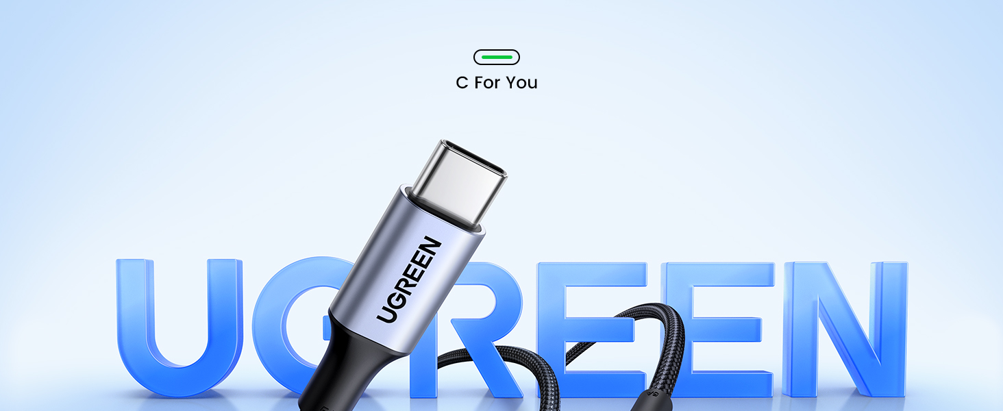 UGREEN US316 70431 100W USB C to USB C Cable