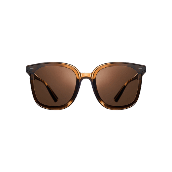 Xiaomi Mijia Square Frame Polarized Sunglasses MJTA02LM