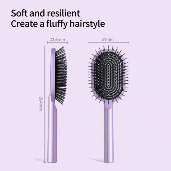 Daily Elements QDS1 Air Cushion Hairbrush Comb