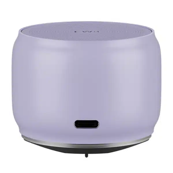 EWA A126 Metal Case Portable Speaker with Bass Radiator
