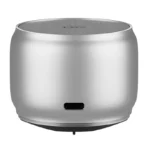 EWA A126 Metal Case Portable Speaker with Bass Radiator
