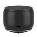 EWA A126 Metal Case Portable Speaker with Bass Radiator