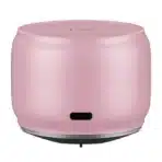 EWA A126 Metal Case Portable Speaker with Bass Radiator