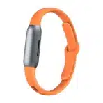 Plant CO-A03-8B Anti Bug Mosquito Wristband with Essential Oil Repellant Bracelet