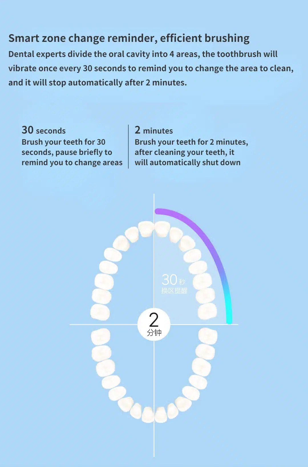 Dr.Bei C1 Sonic Electric Toothbrush 2