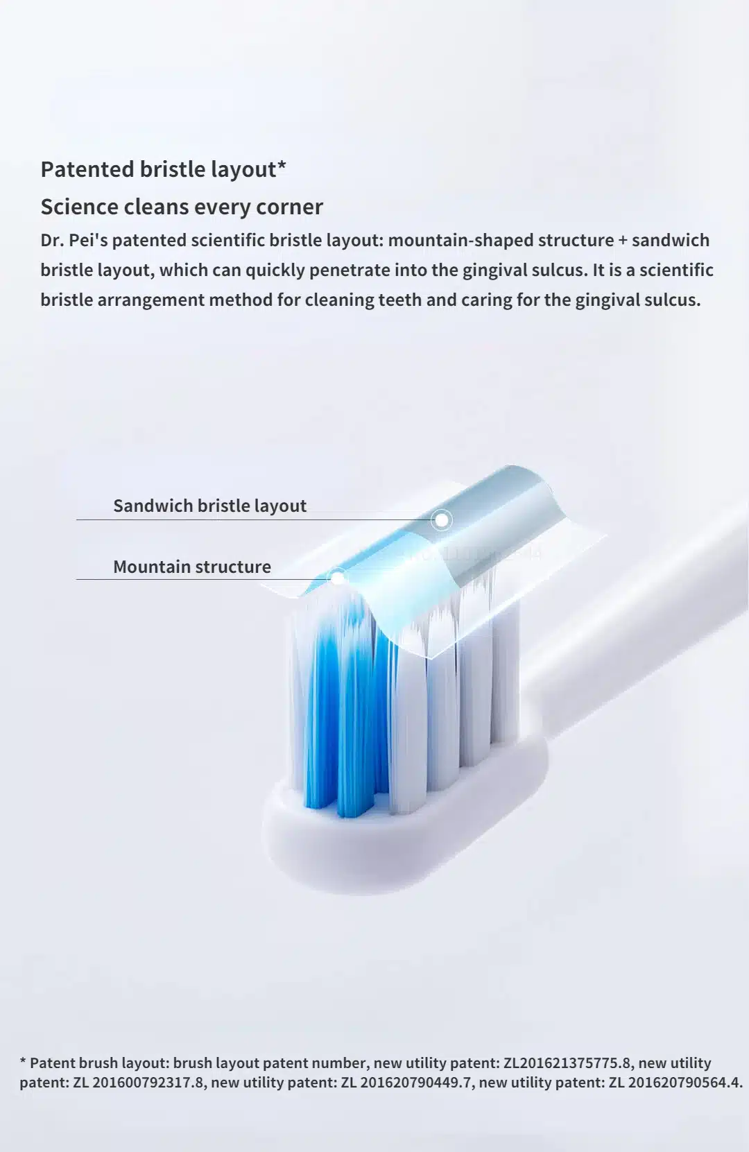 Dr.Bei C1 Sonic Electric Toothbrush 3