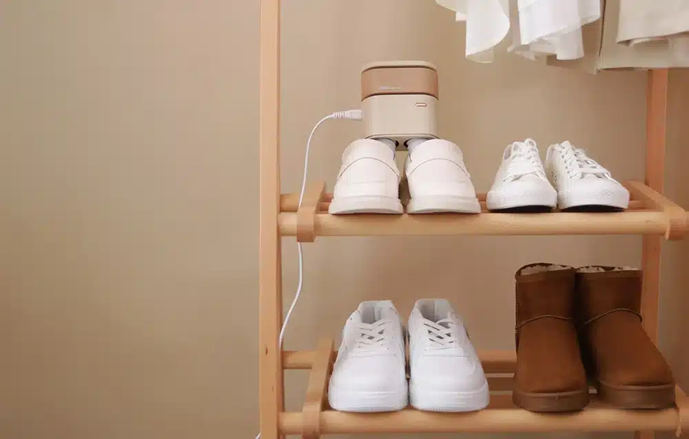 Xiaomi Sothing DSHJ S 2110 Shoe Dryer SUNSHINE 2