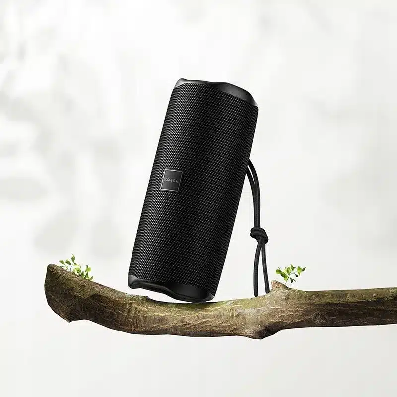 BOROFONE BR100 Joy Portable Bluetooth Speaker 1