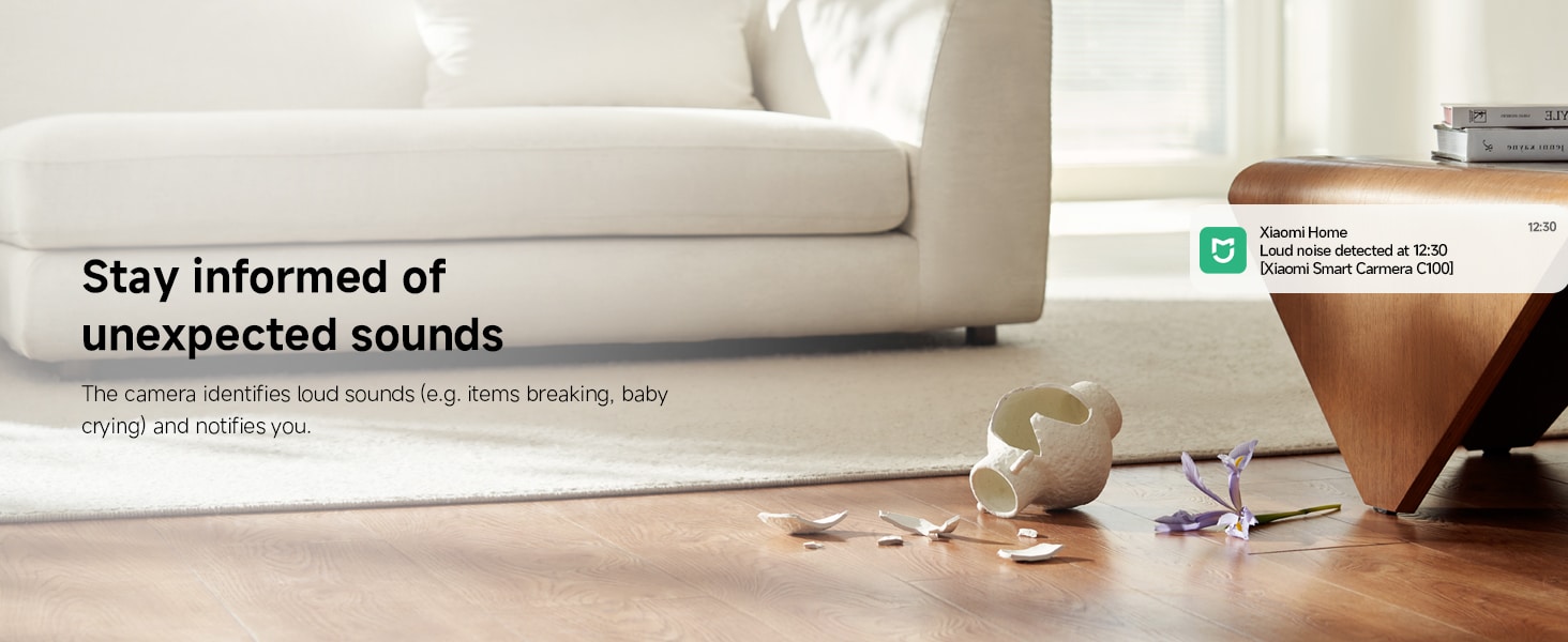 Xiaomi Smart Camera C100 4